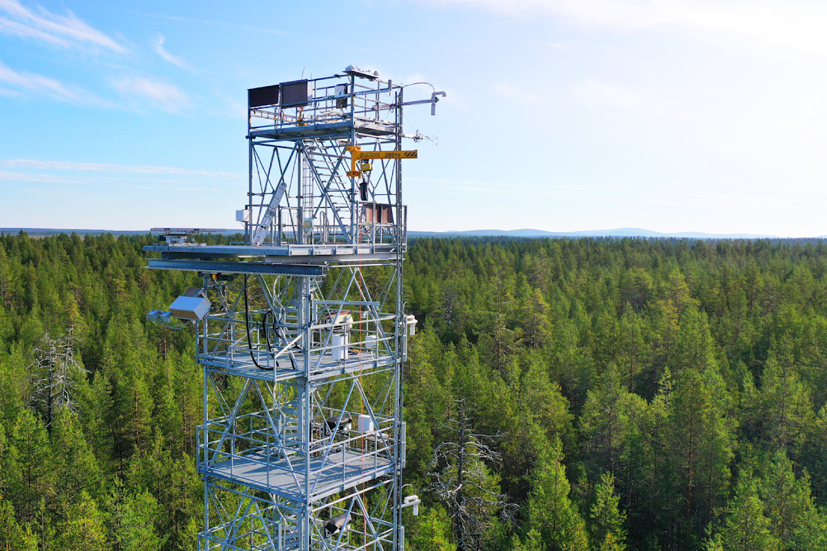 ICOS torni mittalaitteineen kohoaa mäntymetsän yläpuolelle.