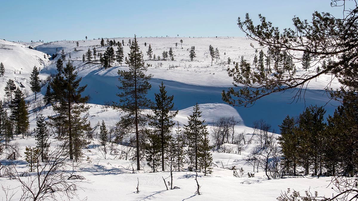 Luminen tunturimaisema, johon keskelle on muodostunut lumilippa.