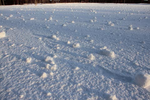 Lumirullia pitkine varjoineen hangella.