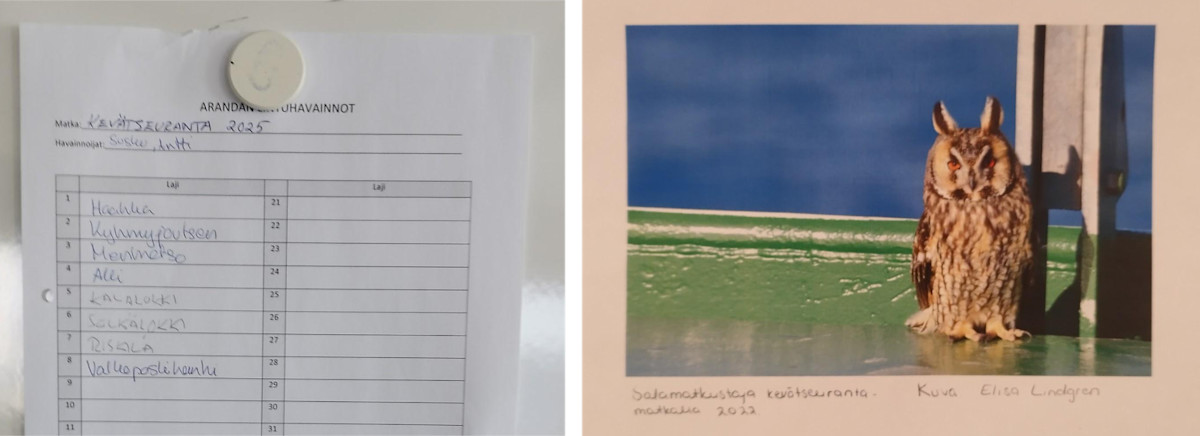 List of birds spotted during Aranda cruise and a picture of an owl spotted in 2022.