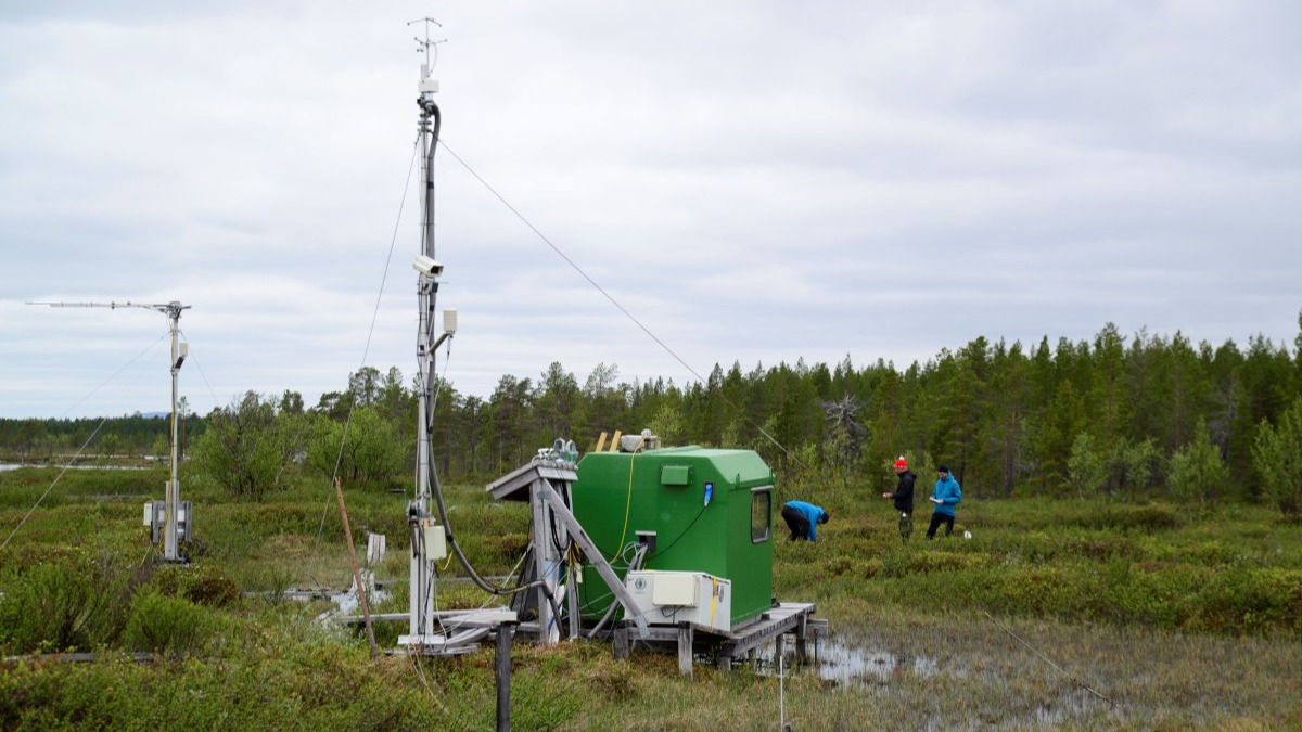 Tutkijat keräävät turve- ja vesinäytteitä suolla.