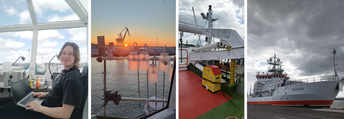 Collage of views of Aranda and researcher Linnea Mustonen