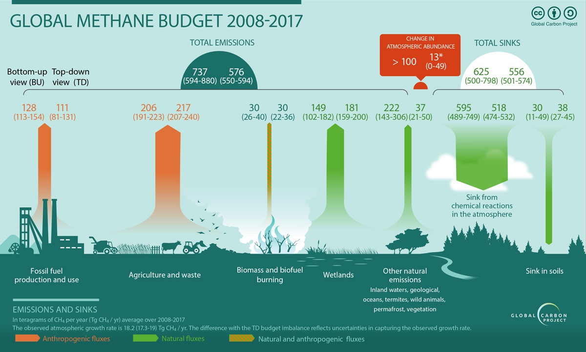 Vuosien 2008–2017 aikana maailmanlaajuiset metaanipäästöt olivat 576 miljoonaa tonnia (teragrammaa, Tg) metaania vuodessa.  Metaanipäästöt tulevat pääasiassa ihmisen aikaansaamista päästölähteistä.