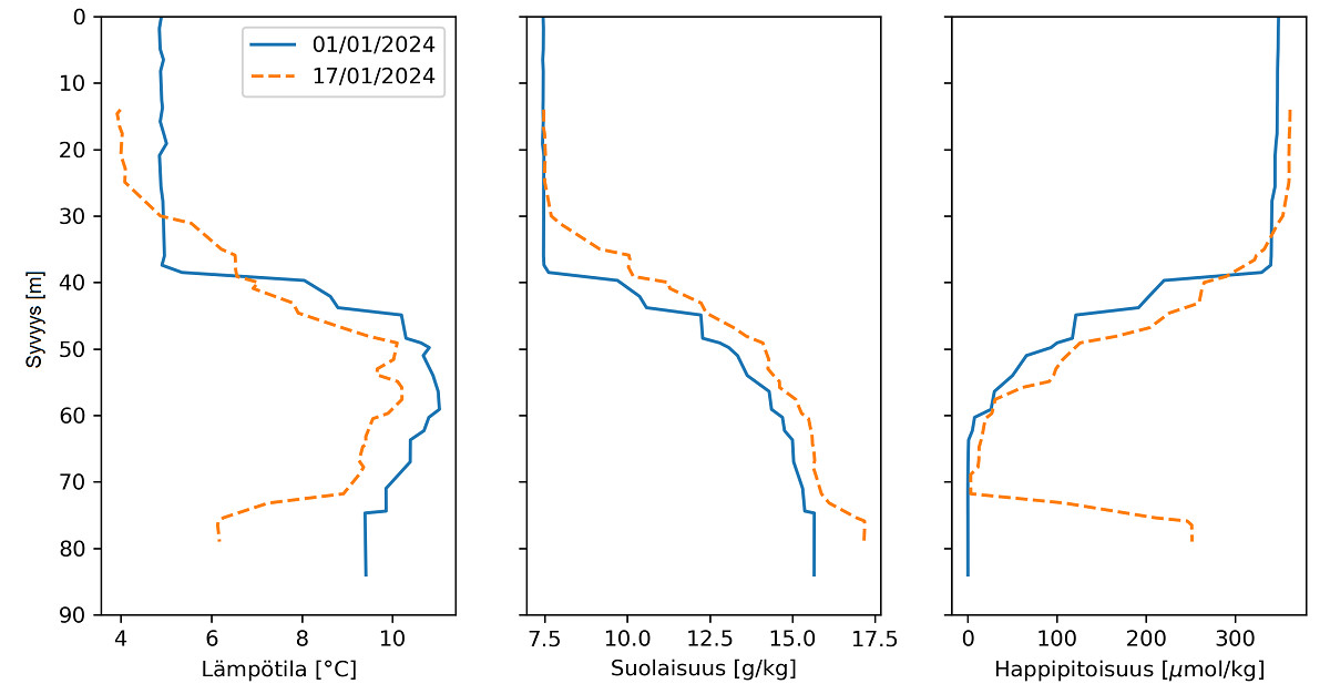 Kolme kuvaajaa, joissa näkyy miten merivesi on muuttunut suolapulssin jälkeen. Pohjassa lämpötila on laskenut ja happipitoisuus noussut huomattavasti. Suolaisuus on noussut hieman koko vesipatsaassa.