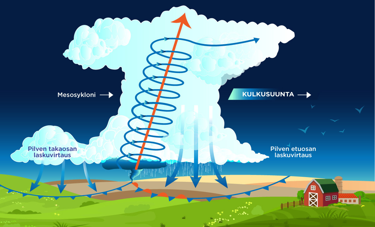 Kuvasta kerrottu tekstissä.