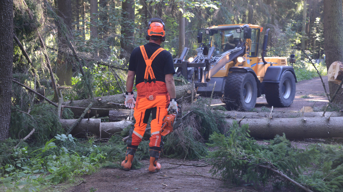 Metsuri ja traktori raivaamassa kaatuneita puita metsätieltä.
