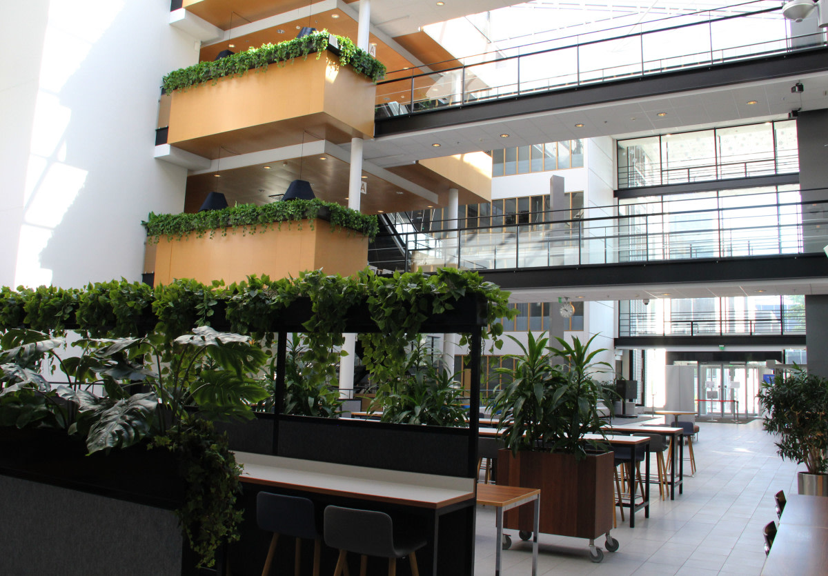 Dynamicumin valoisa aula korkeine ikkunoineen.