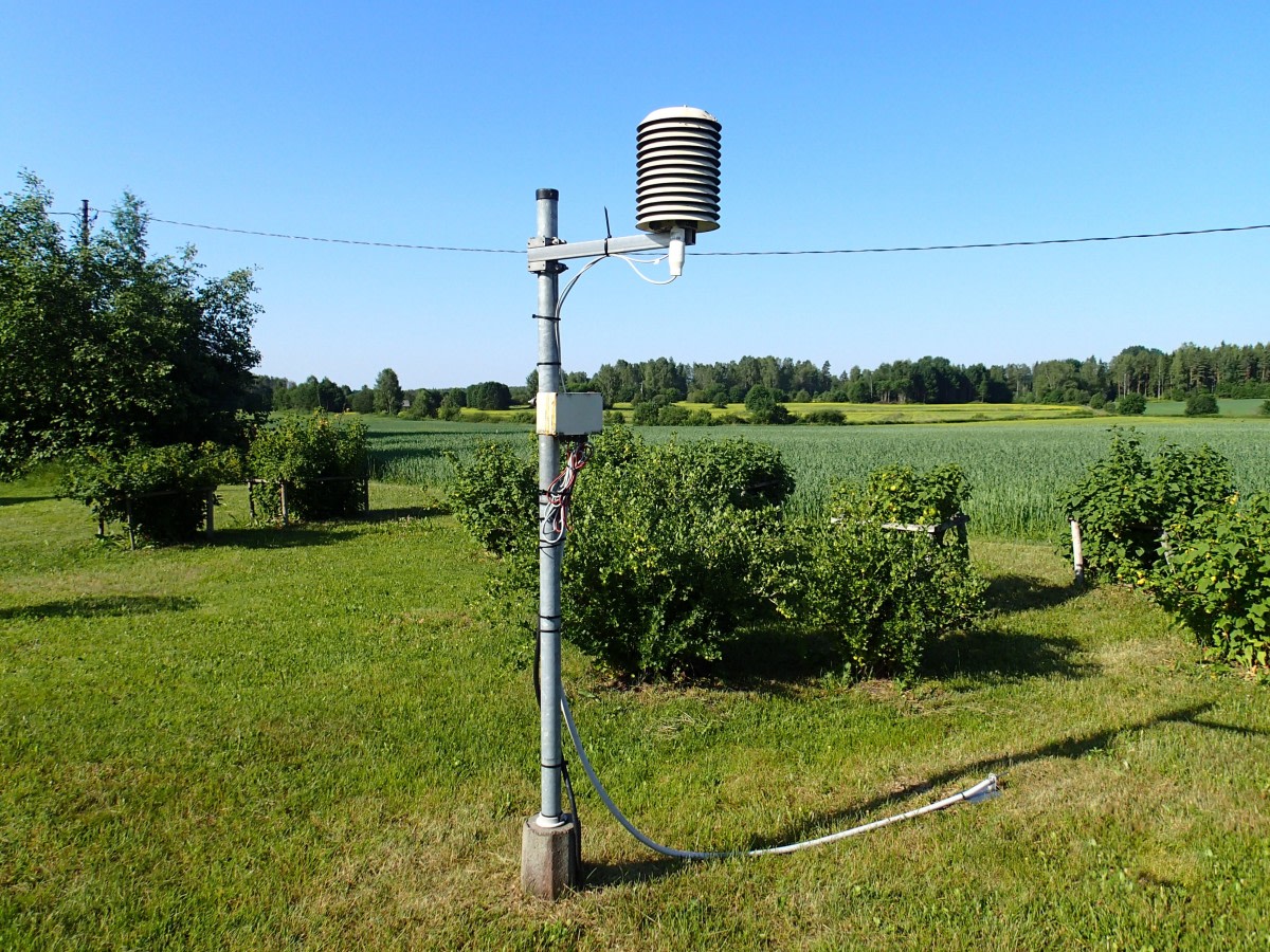Lämpötila- ja maanpintaminimimittarit havaintoasemalla.