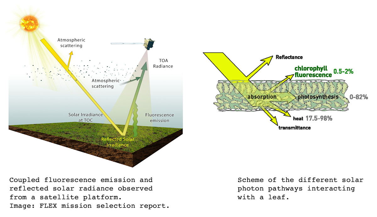 SIF Atmosphere high resolution