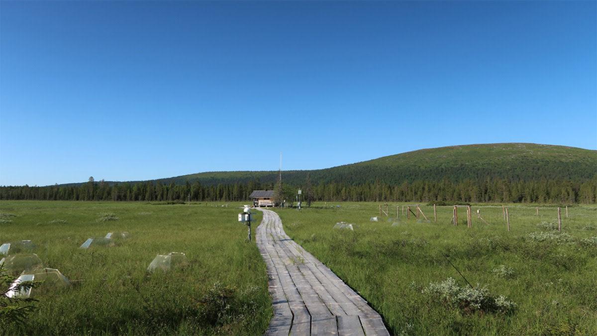 Suomaisemaa halkoo pitkospuut, polun päässä mittauskoppi