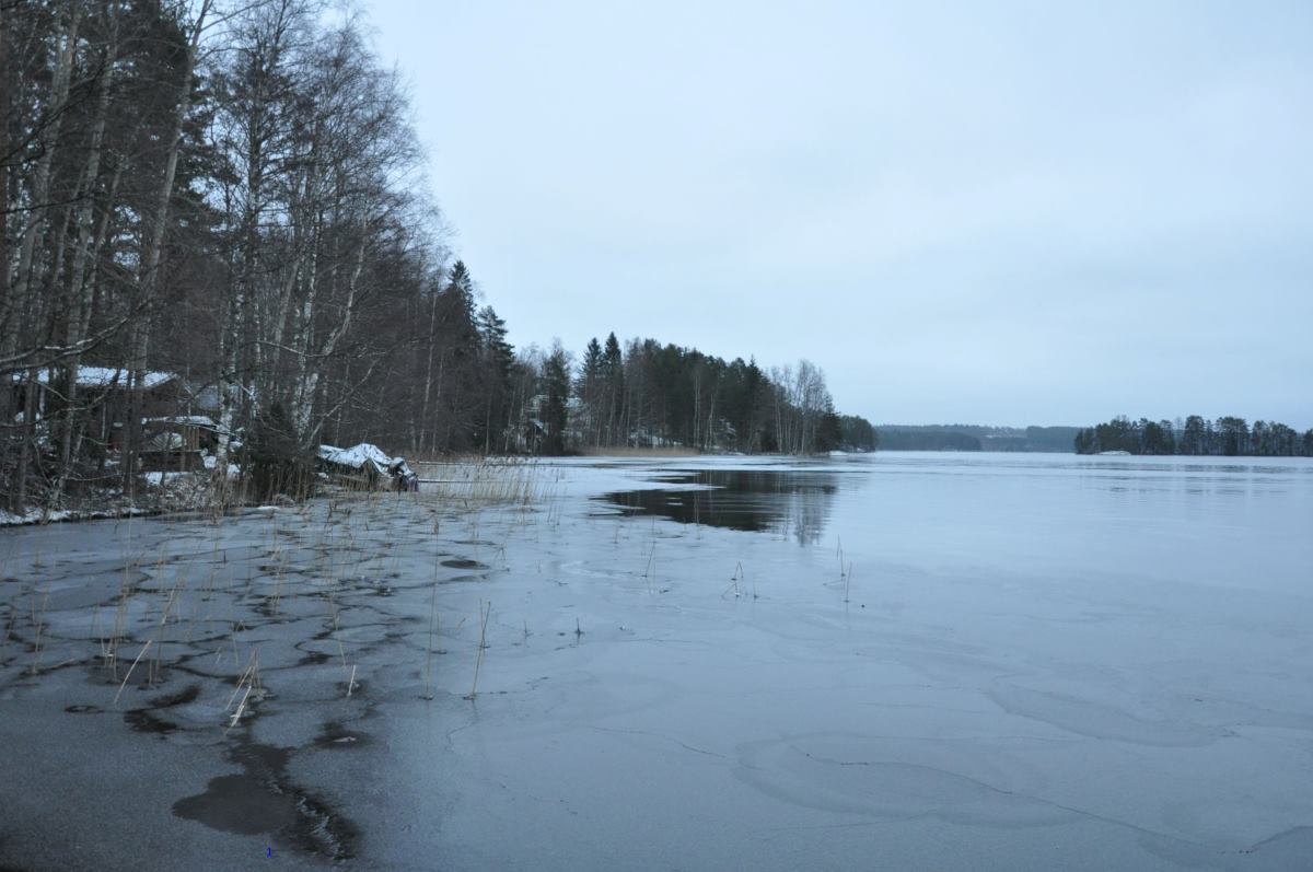 Vedenpinta on jäätynyt rannan lähellä.