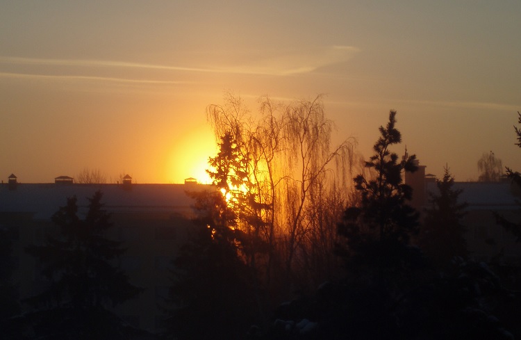 Aamunsarastus. Aurinko pilkottaa talon ja puiden takaa.