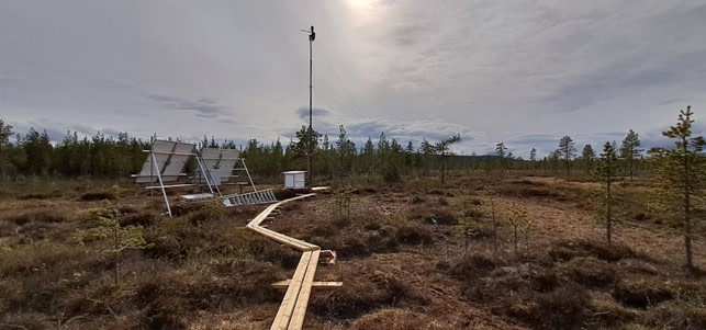 Matorovansuo (photo: Jack Chapman)