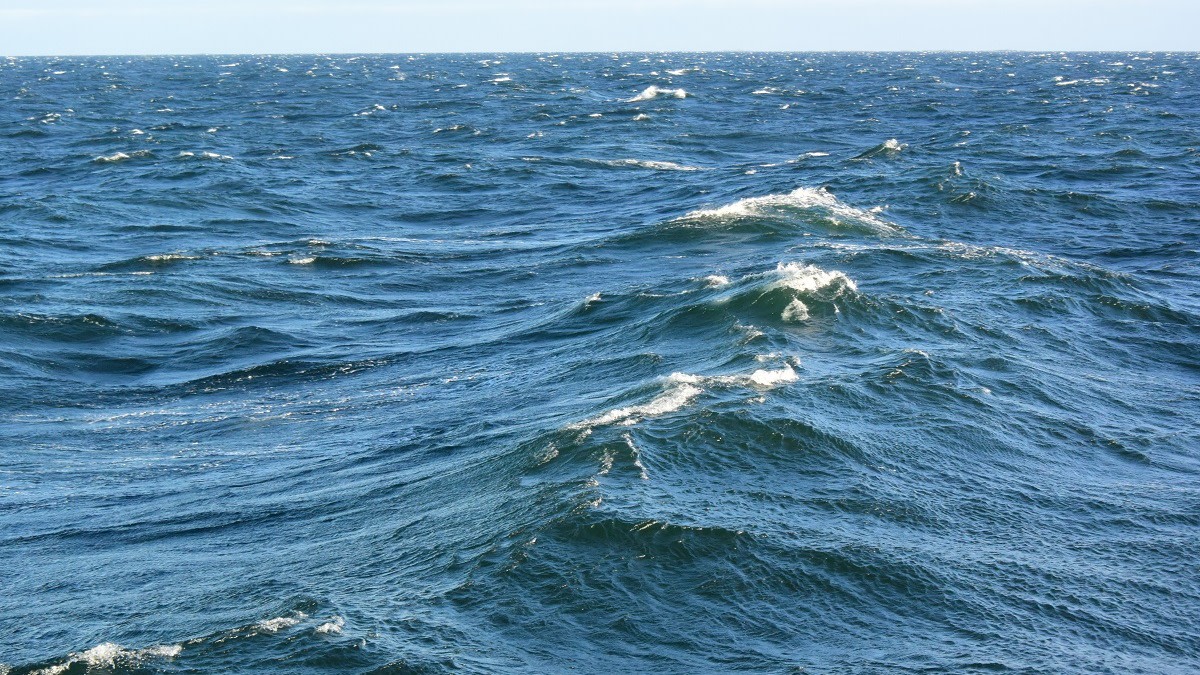 Aaltoja merellä.