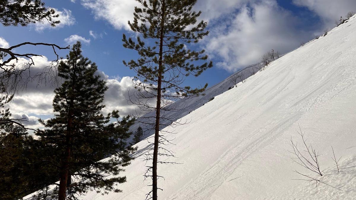 Jyrkkä tunturinrinne, jossa etualalla näkyy laskemisen jälkiä ja taustalla, tunturin huipulla, lumivyöryn lähtöalue.