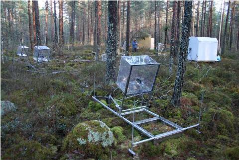 Kuva kammiomittauksesta metsässä.