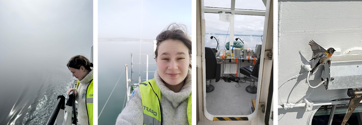 Pictures showing the arrival in Turku onborad of Aranda in the fog, the atmospheric instruments and a bird.