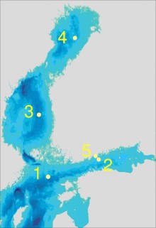 Aaltopoijut kartalla: 1. Pohjois-Itämerellä, 2. Suomenlahdella, 3, Selkämerellä, 4. Perämerellä ja 5. Suomenlinnassa.
