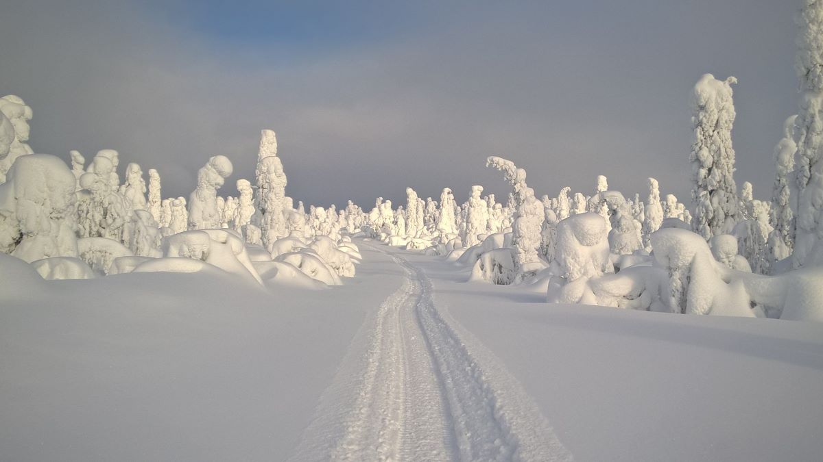 Lapin tykkylumista maisemaa.