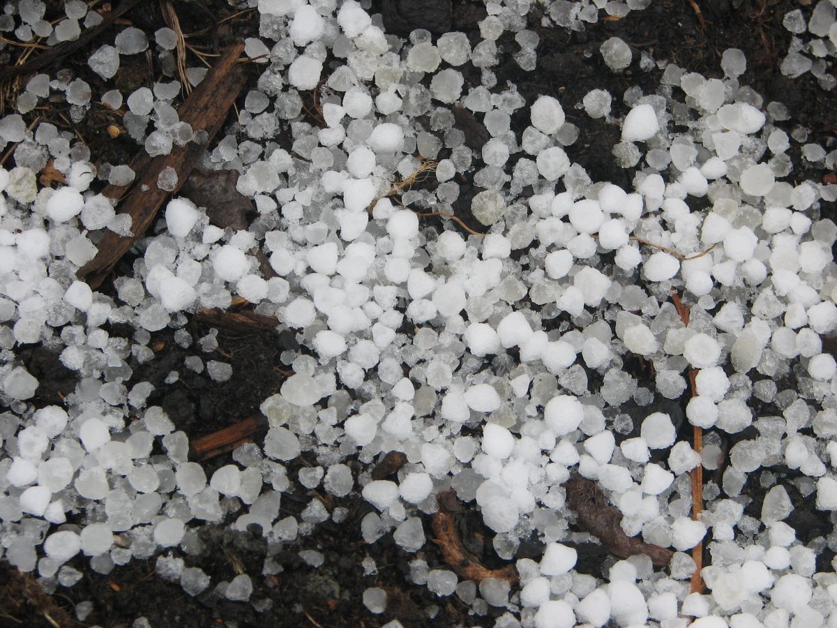 Kasa lumirakeita maassa.