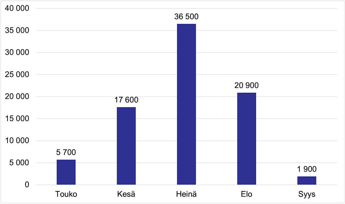 Touko-syyskuun kuukausikeskiarvot Suomen maasalamoiden määrissä, eniten salamoita esiintyy keskimäärin heinäkuussa, noin 36 500 maasalamaa.