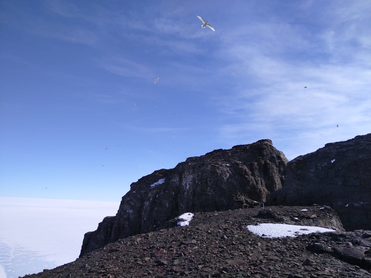Myrskyliitäjä lentää Basen nunatakin yläpuolella. Kuva: Mika Kalakoski/ FINNARP