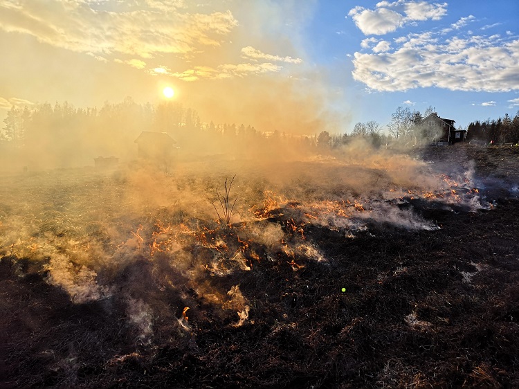 Peltoa kulotetaan. Ilmassa savua ja maa vähän tulessa.