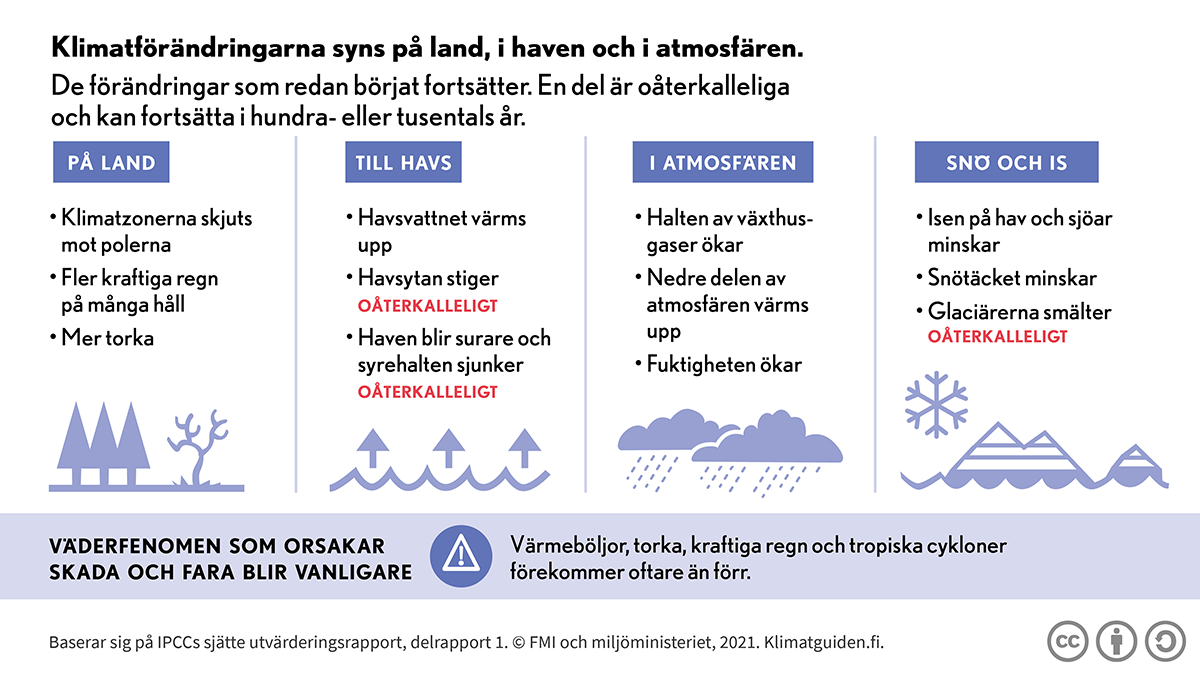 bild: träd, ett uttorkat träd, havsnivå och pilar som beskriver havets stigning, regnmoln, en snöflinga och glaciärer