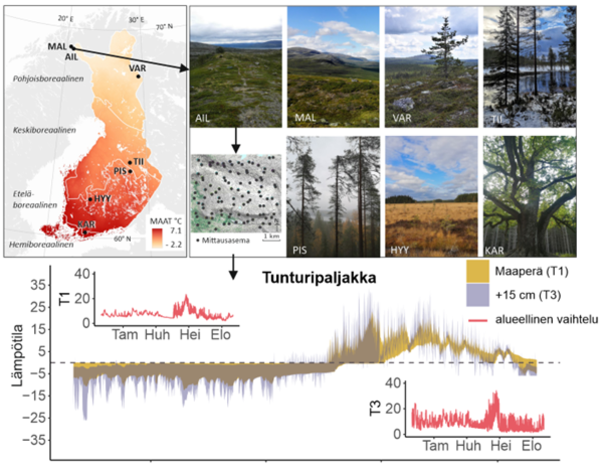 Tutkimus perustuu maailmanlaajuisesti ainutlaatuiseen pienilmaston mittausverkostoon, jonka seitsemän tutkimusaluetta ulottuvat hemiboreaaliselta vyöhykkeeltä aina tunturipaljakalle asti.