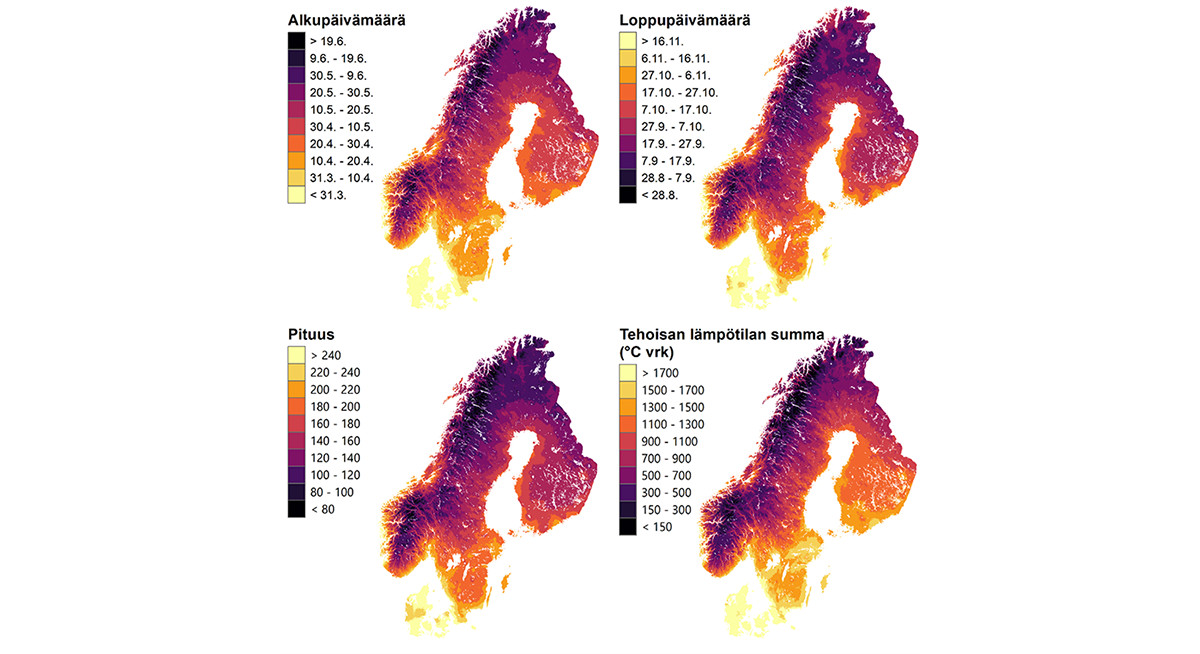 Termisen kasvukauden alueellinen vaihtelu Pohjois-Euroopassa on suurta ja siihen vaikuttavat muun muassa korkeuserot. Skandian vuoristossa kasvukausi voi kestää vain 105 päivää kun taas Tanskan alangoilla se ulottuu jopa 252 päivän mittaiseksi.