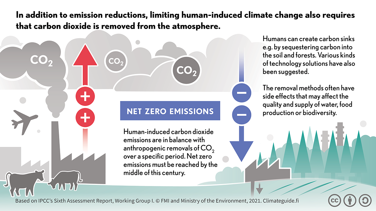 An aeroplane, factory and cows depict the increase in carbon dioxide, i.e. emissions. Forests and soil depict the carbon sinks that reduce carbon dioxide.