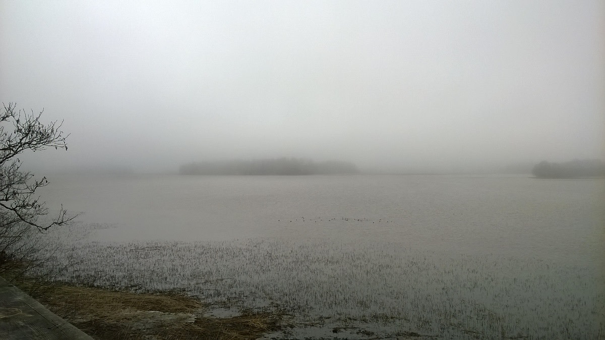 Merenlahdella on sumua ja vastaranta ei näy kunnolla.